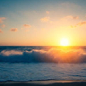 Meet your Posher, Katrina